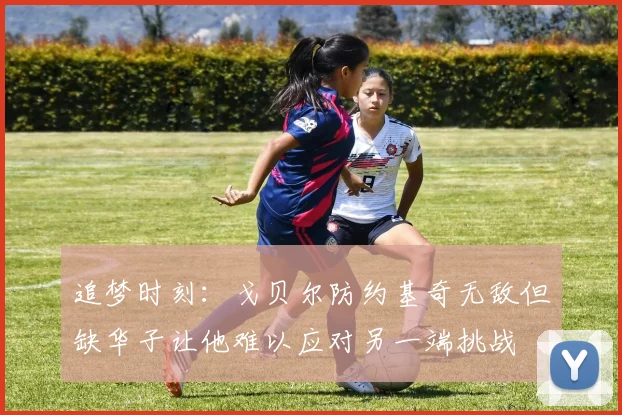 追梦时刻：戈贝尔防约基奇无敌但缺华子让他难以应对另一端挑战