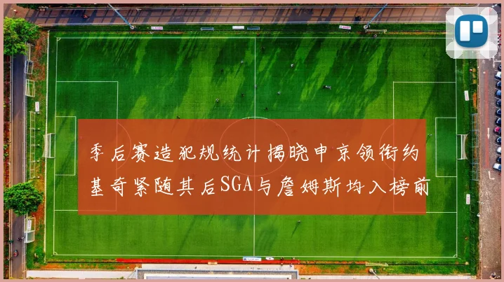 季后赛造犯规统计揭晓申京领衔约基奇紧随其后SGA与詹姆斯均入榜前十