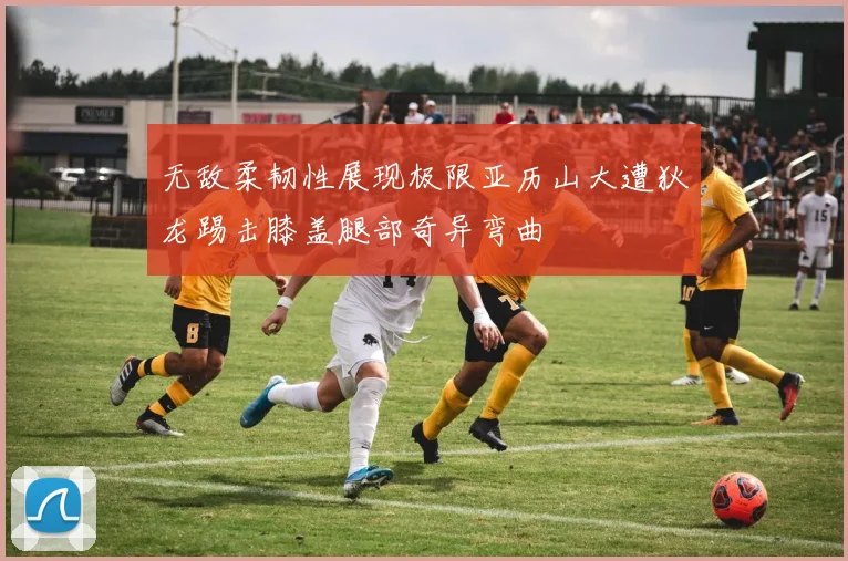 无敌柔韧性展现极限亚历山大遭狄龙踢击膝盖腿部奇异弯曲